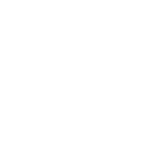 Icon Alarmanlage