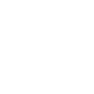 Icon Jalousien