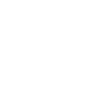 Icon Lichtsteuerung