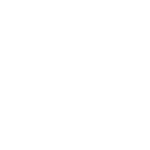 Icon Sprachsteuerung
