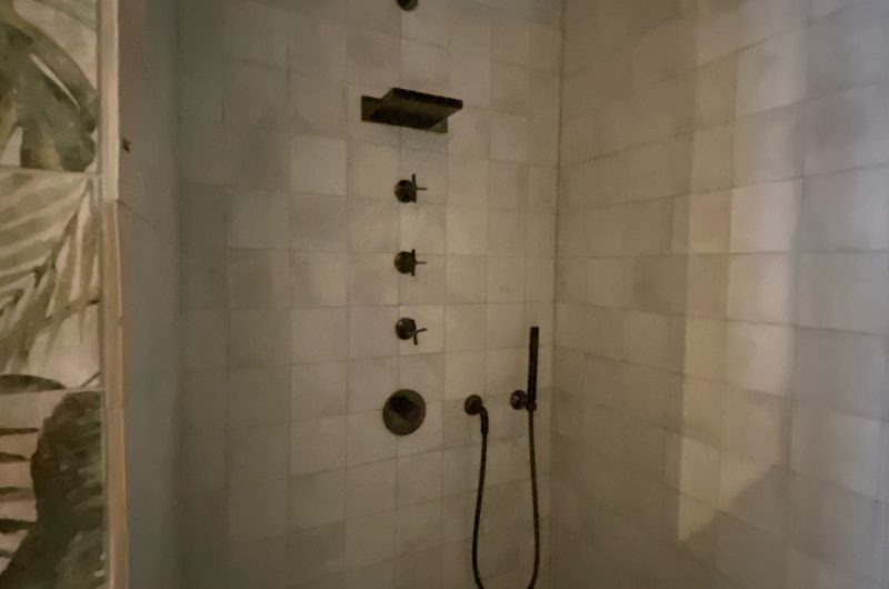 Villa Remus | smart shower in retro design